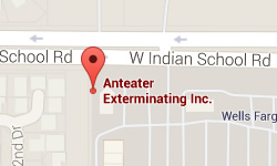 Anteater Exterminating Inc. on Google Maps