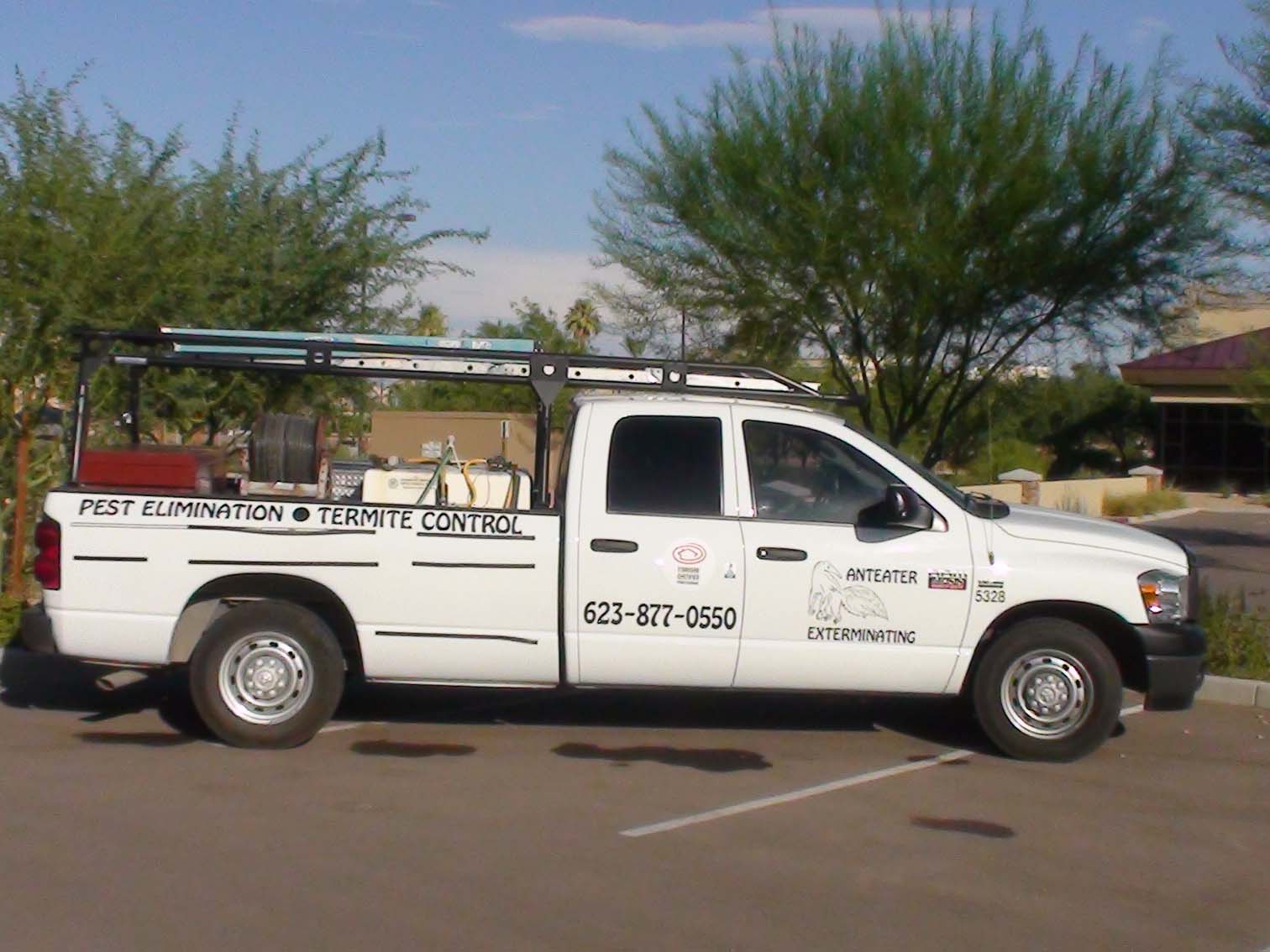 anteater pest control serving service gallery anteater exterminating inc anteater pest control serving service gallery anteater exterminating inc