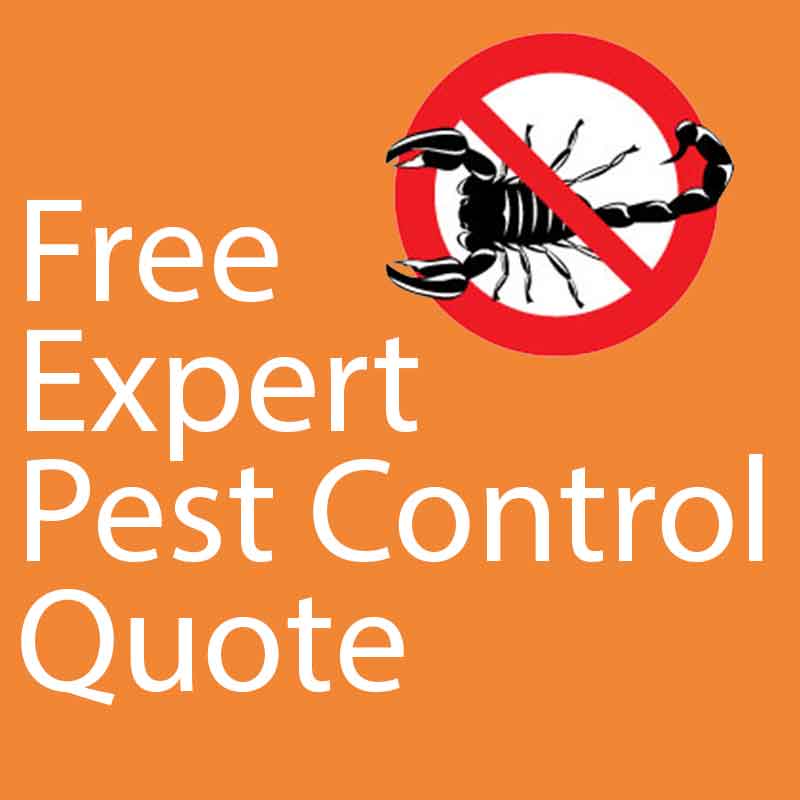 pest-control-quote