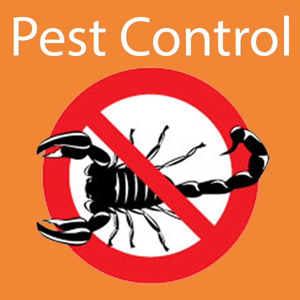 pest-control-services