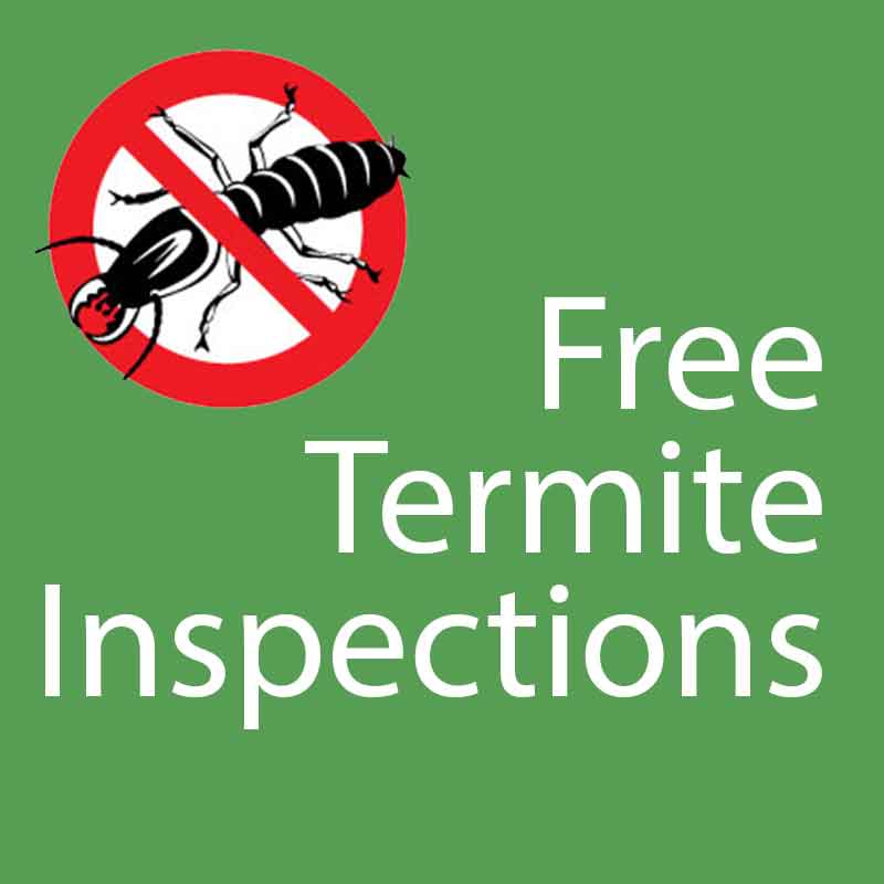 termite-inspections