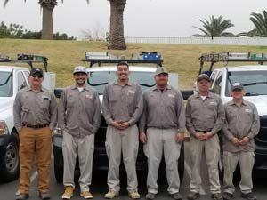 Pest Control in Avondale Pest Control in Avondale