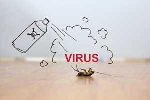 Exterminator Litchfield Park Exterminator Litchfield Park