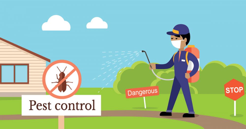 8 Reasons to Hire a Professional Pest Control Company Anteater