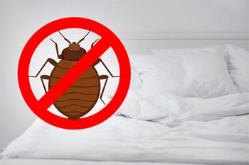 Bed Bug Treatment Goodyear