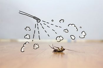 Cockroach Control Buckeye