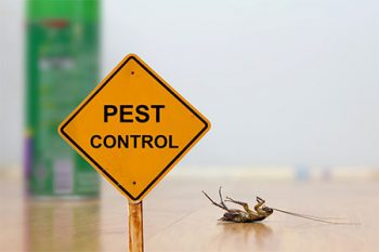 Cockroach Control Goodyear