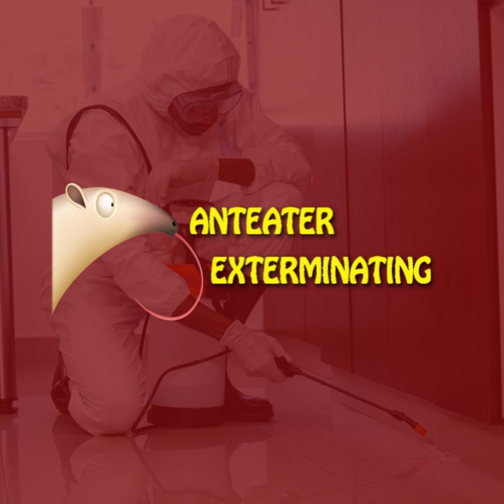 western pest control western pest control
