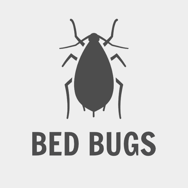 Bed Bugs Intensive