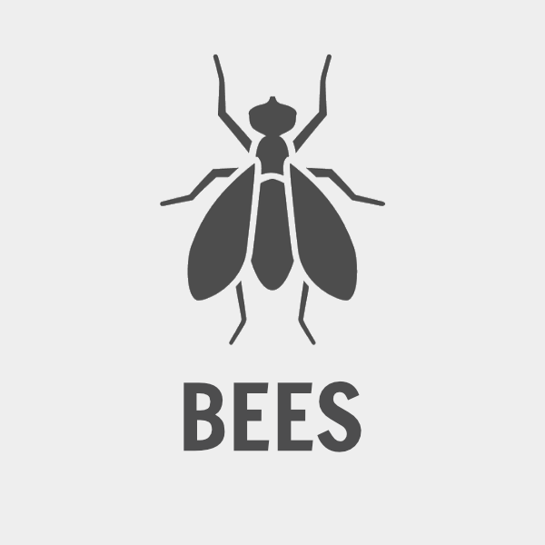 Bee Intensive Services
