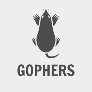 Gopher Intensive Service