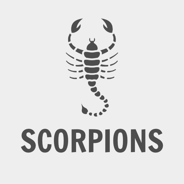 Scorpion Intensive Service
