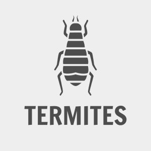 Termites Intensive Service