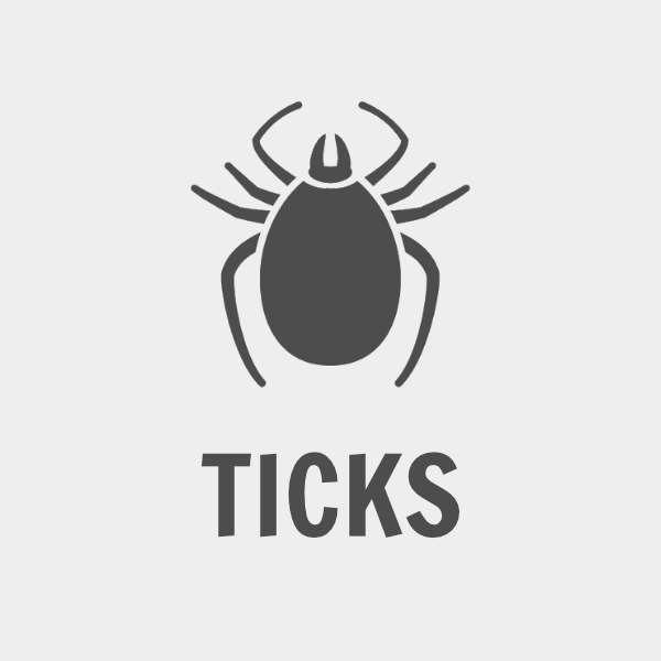 Tick Intensive Service