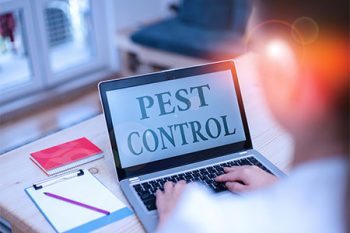 Home Pest Control Litchfield Park