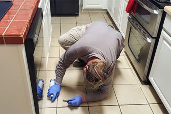 Pest Control Litchfield Park