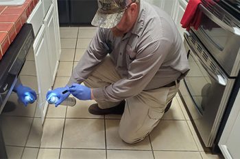 Pest Control Scottsdale