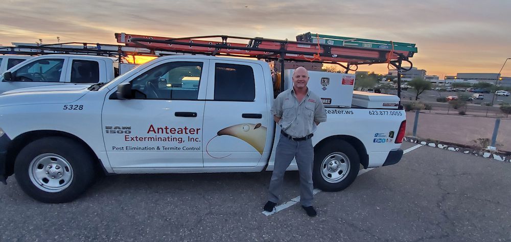 Anteater Pest Control