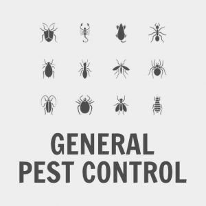 General Pest Control