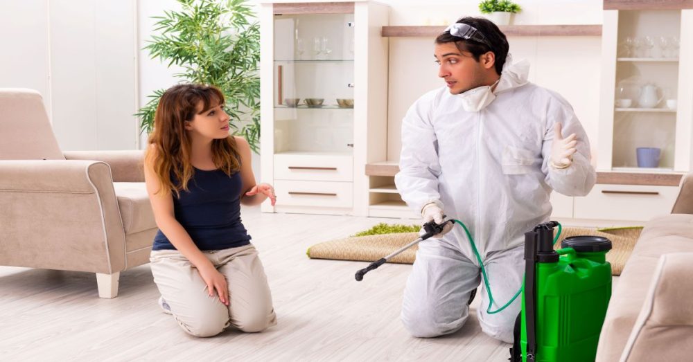 How Do Pest Control Companies Get Rid Of Scorpions Anteater How Do Pest Control Companies Get Rid Of Scorpions Anteater