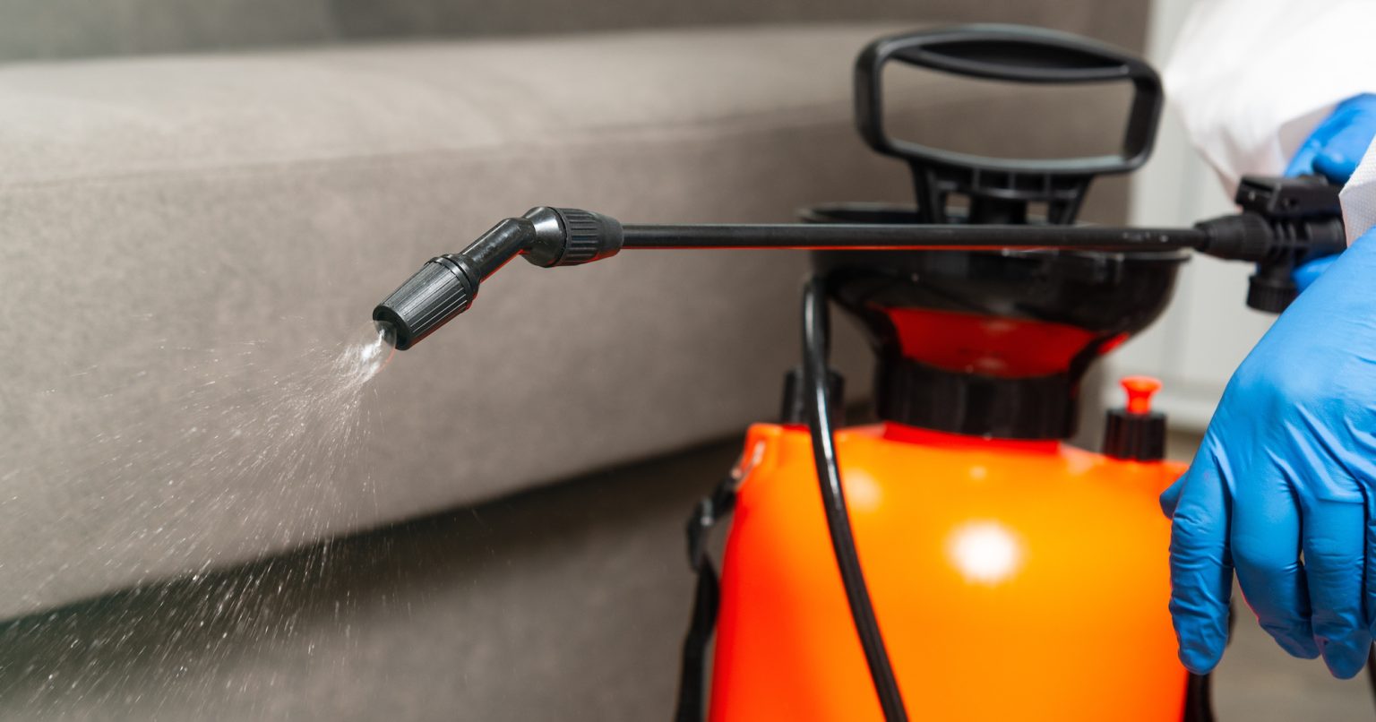 Benefits of Hiring a Professional Pest Control Company Anteater