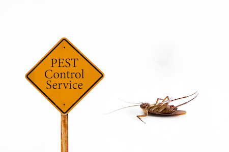 Pest Control Services Buckeye