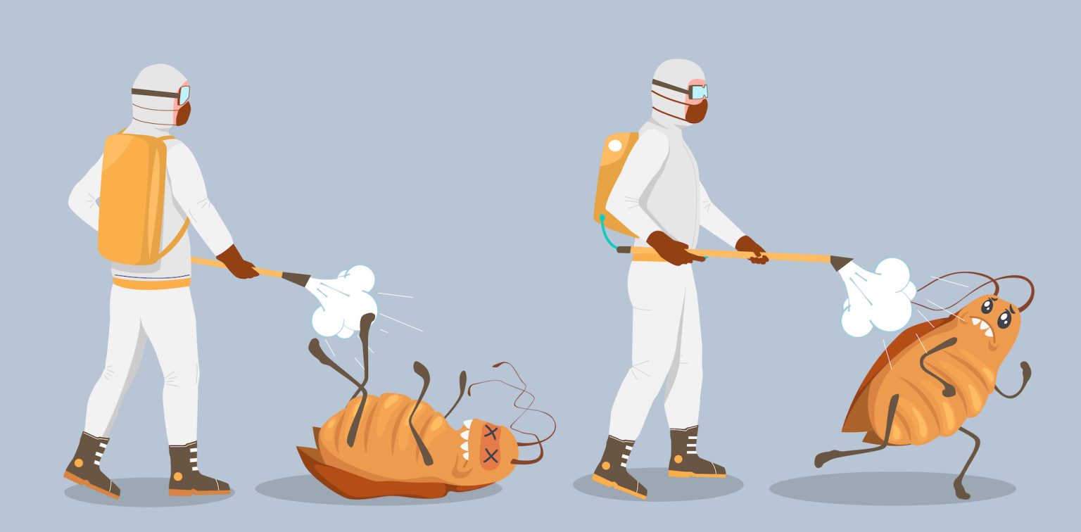 The Difference Between Pest Control and Extermination Anteater