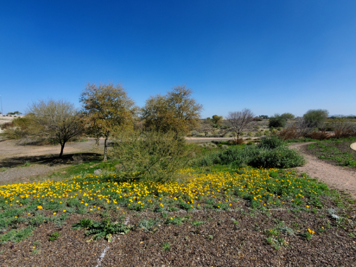 Zanjero Park