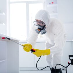 Pest Control Phoenix Pest Control Phoenix