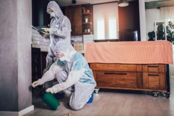 Exterminator Phoenix Az