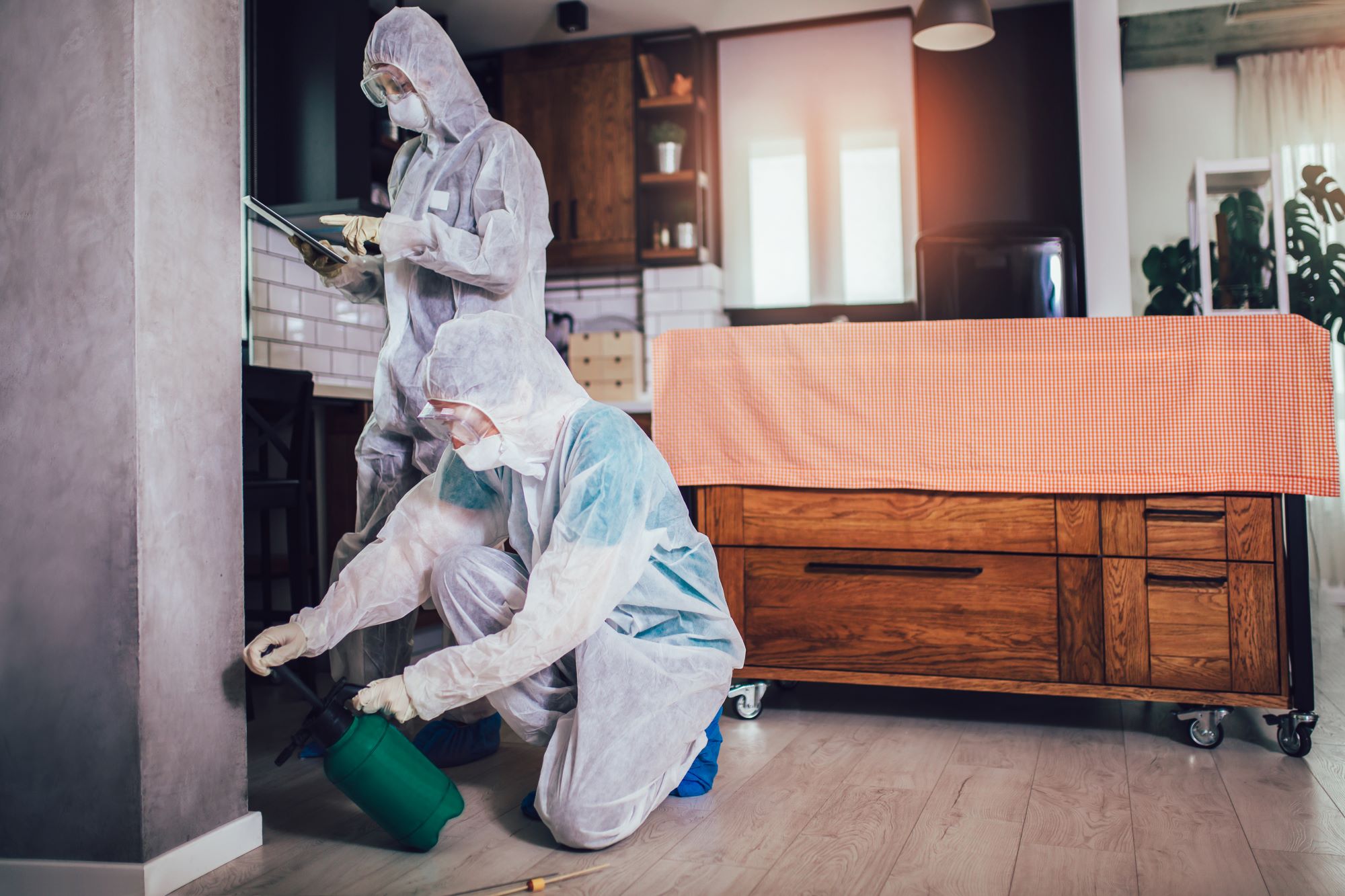 Exterminator Phoenix Az