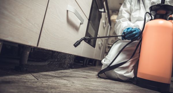 Exterminator Service In Phoenix Az