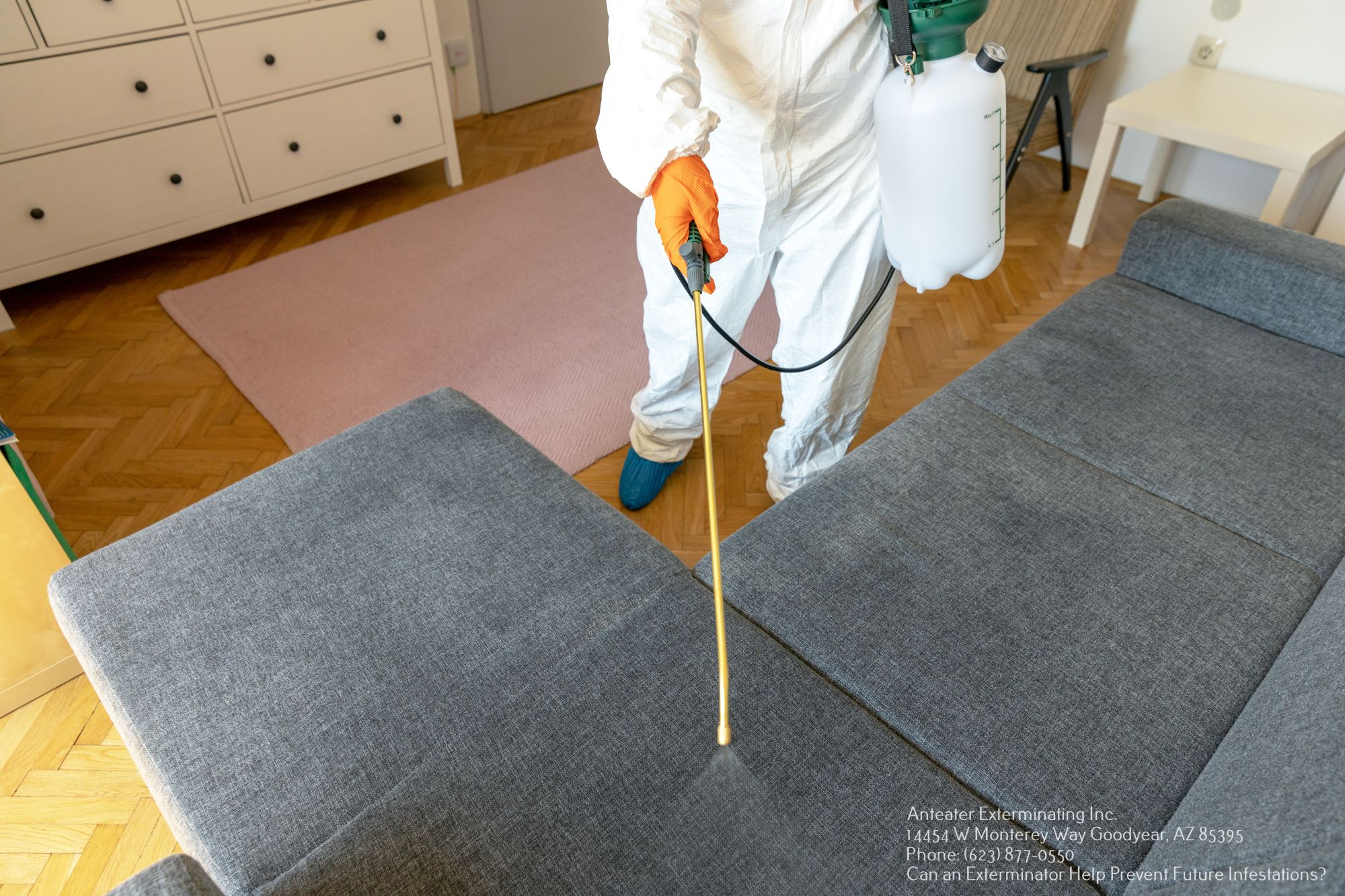 Exterminator Service Goodyear