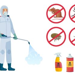 Exterminator Phoenix AZ