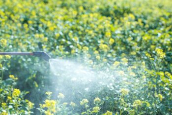 Exterminator in Phoenix AZ Exterminator In Phoenix Az
