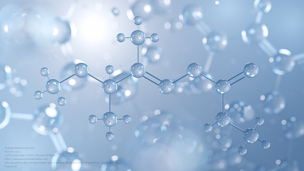 Exterminator Near Me Phoenix Arizona