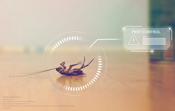 Exterminator Near Me Phoenix AZ