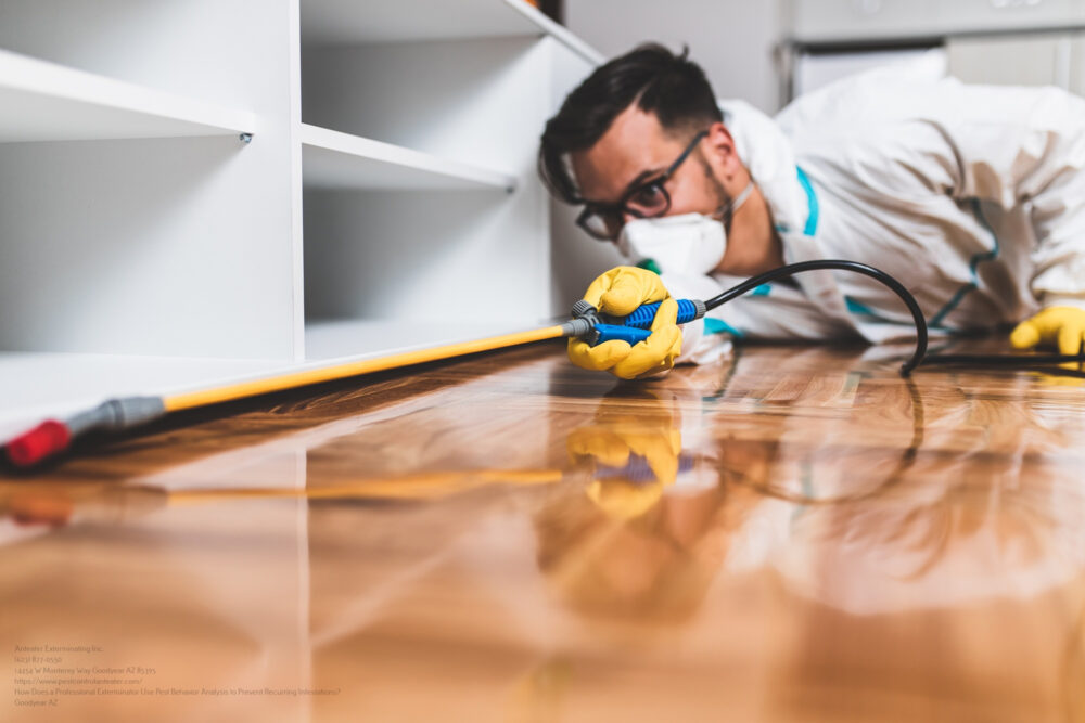 Exterminator near me Phoenix AZ