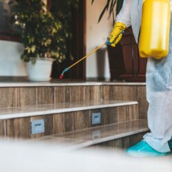 Exterminator Goodyear AZ Exterminator Goodyear AZ