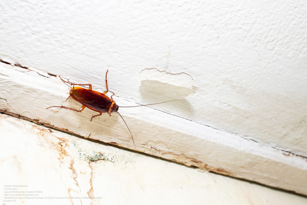 Cockroach Control near me Mesa AZ