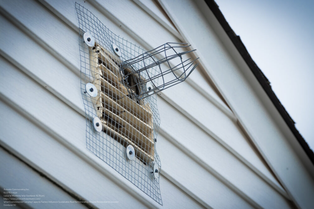 Roof Rat Control near me Mesa AZ