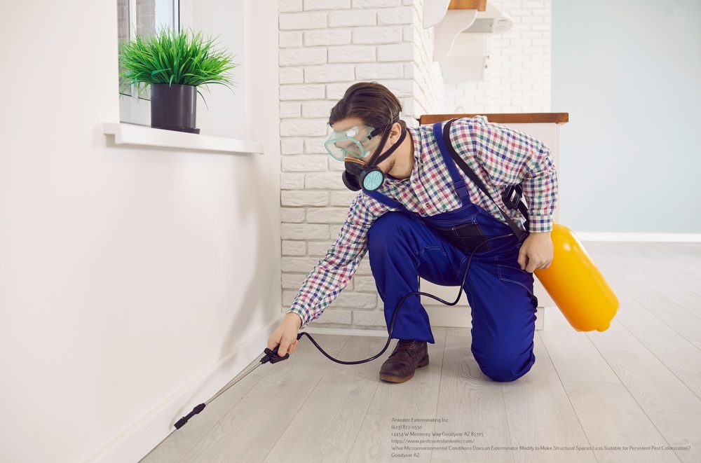Exterminator near me Chandler AZ