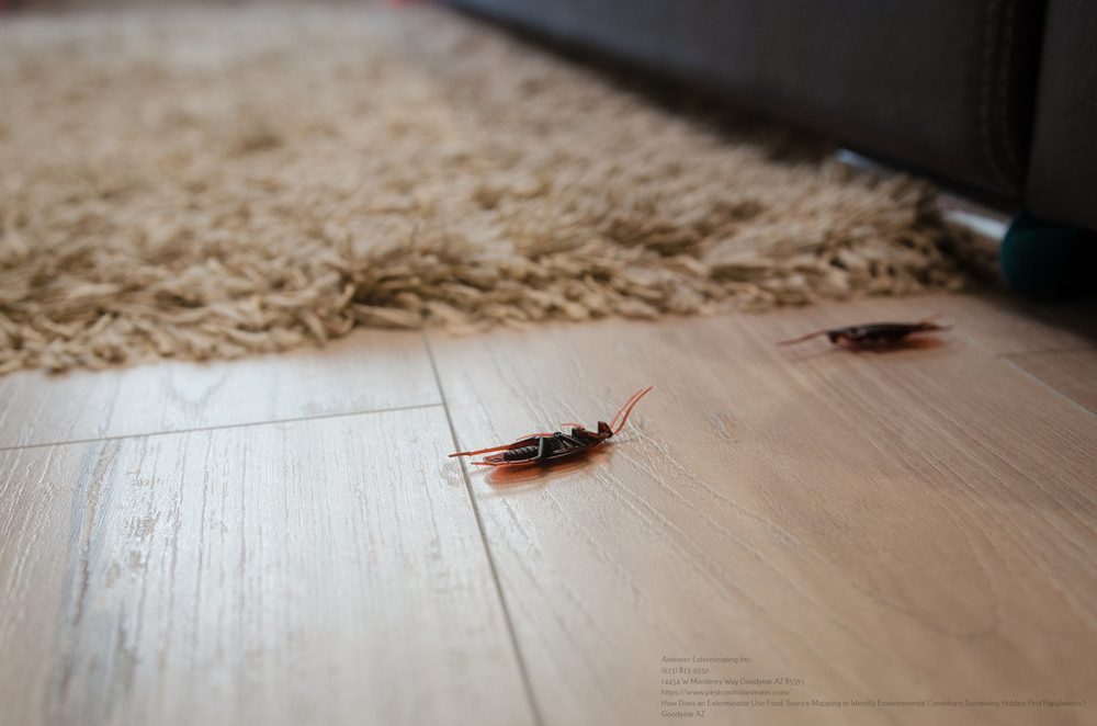 Exterminator near me Glendale AZ