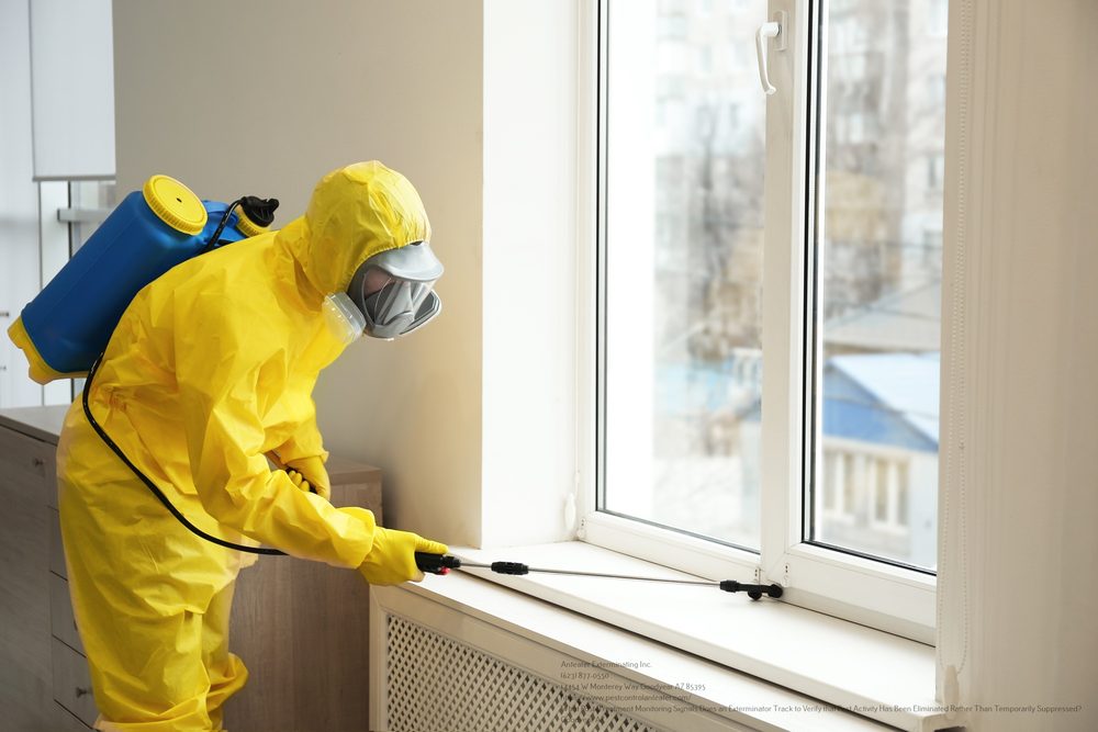 Exterminator near me Chandler AZ